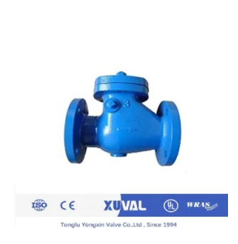 DIN BS ANSI JIS Cast Iron Swing Check Valve (CKV-016-C) - Tonglu ...