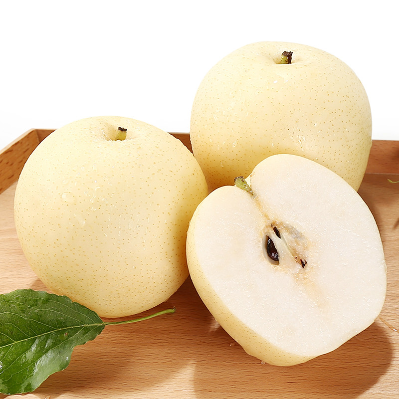 Nashi Pear - Xiamen Sino Orchard Industry Co.,Ltd - ecplaza.net