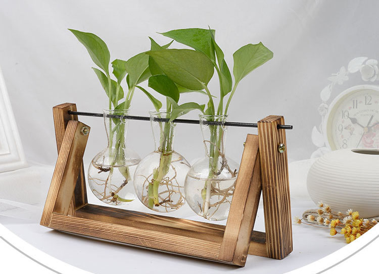 Hydroponic Planter 3 Bulb Glass Vase - Fuzhou Dongyu International Co ...