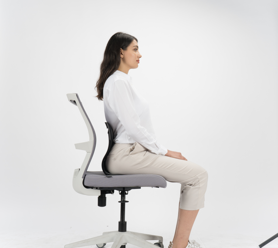 Simple Best Posture Corrector Office Chair with Dual Monitor