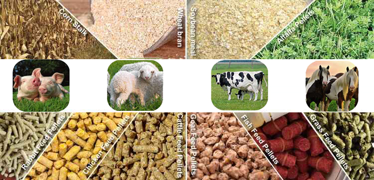 ANIMAL FEED - Todays Commodities Trading Ltd - ecplaza.net
