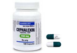 are cephalexin and amoxicillin the same