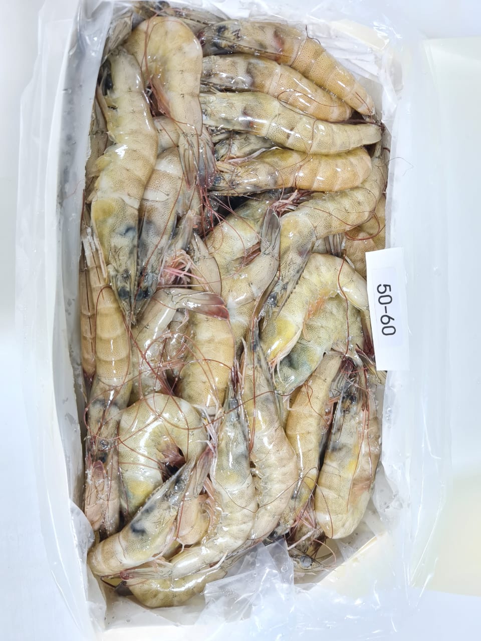 HOSO Vannamei Shrimp - Steam General Trading Group L.L.C - ecplaza.net