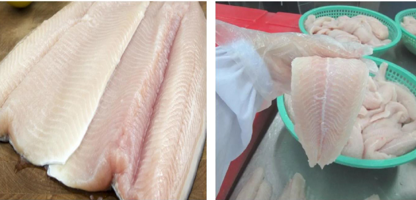 FROZEN PANGASIUS FILLET - CHATCHAFOODS., LTD. - Ecplaza.net