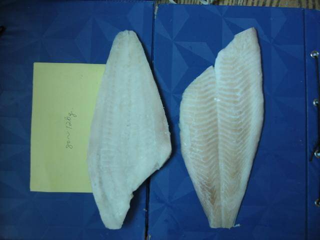 Alaska Plaice Fillet Orimax Seafood International Co Ltd