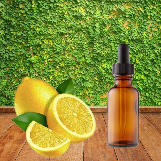 Vitamin C Hair Serum Rite Sourcing