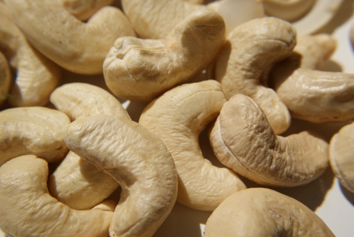 cashew nuts best price