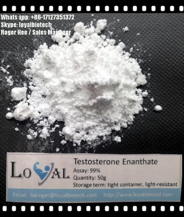GMP 99% purity USP grade Testosterone enanthate TE Test E ...