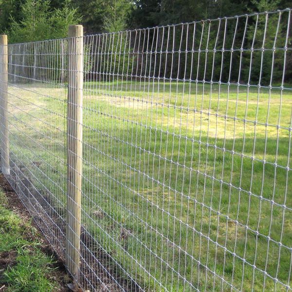 Wholesale Cheap Price Stainless Steel Woven Wire Field Fence - Hebei ...