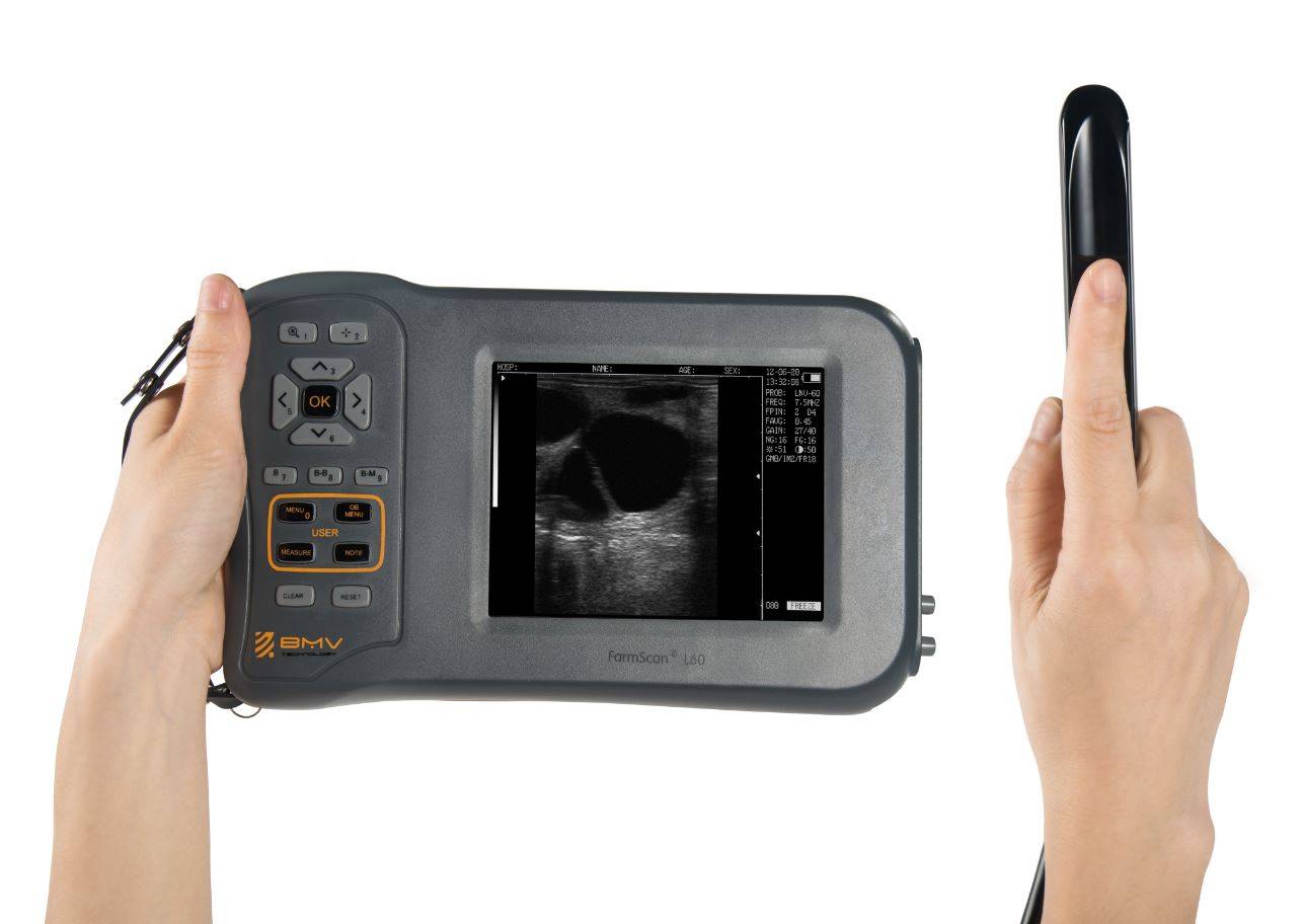 L60 Equine Ultrasound -Vet Ultrasound Scanner -Best Ultrasound Machine ...