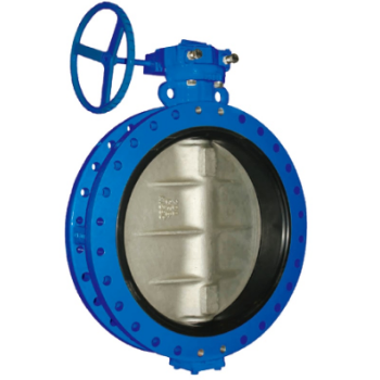 Large diameter double flanged butterfly valve - Tianjin Fortisvalve CO