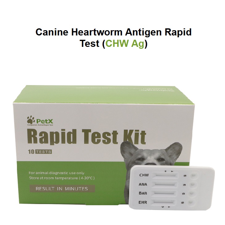 Canine Heartworm Antigen Rapid Test Chw Ag Jandg Biotech Co