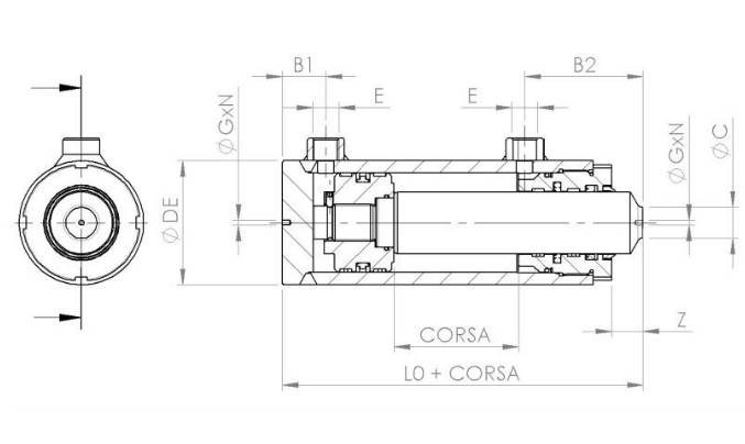 Oleodinamica Hydraulic Double-acting Cylinders - Pippo