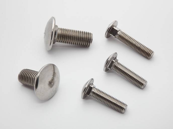 DIN603 Mushroom Head Square Neck Bolts - Wenzhou Lichao Fasteners CO ...