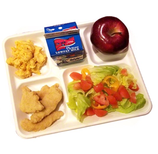 Disposable 5 Compartment Foam Food Plates For Lunch Meal Serving ...