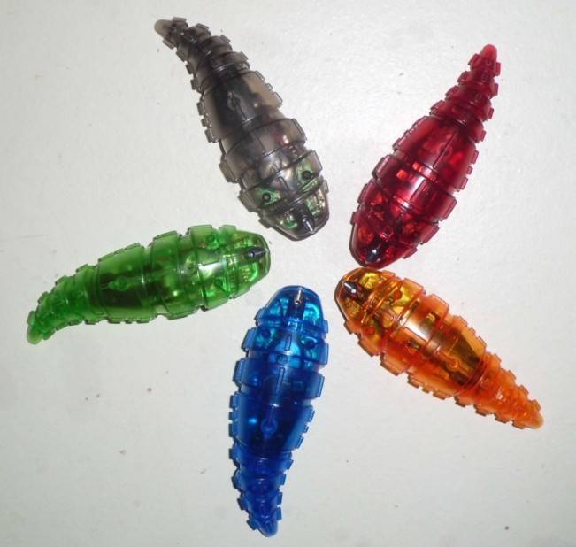 hexbug larva