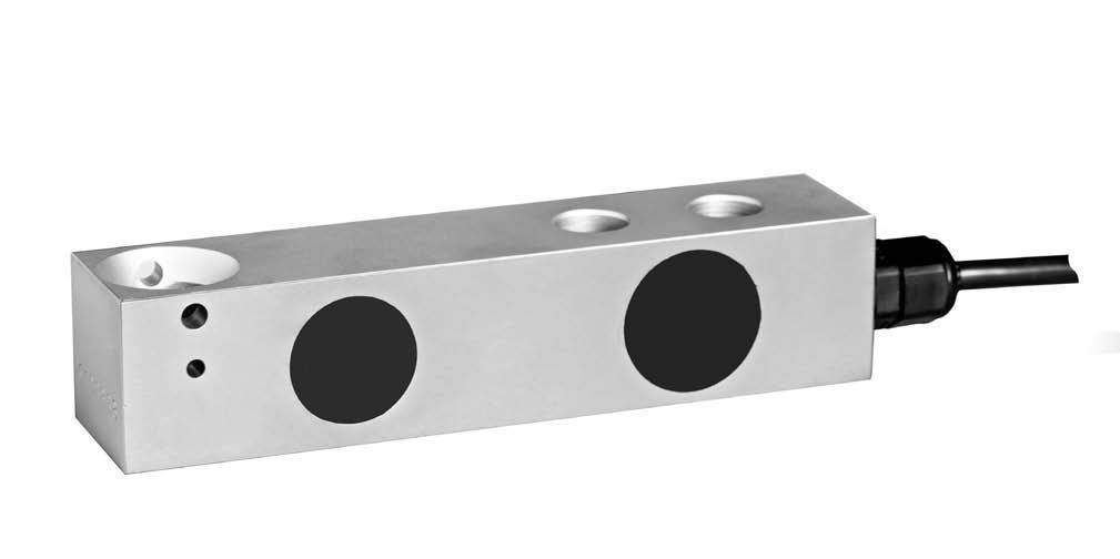 Flintec Slb Beam Type Load Cell For Platform Scales Hopper And Tank Scales Flintec Singapore 