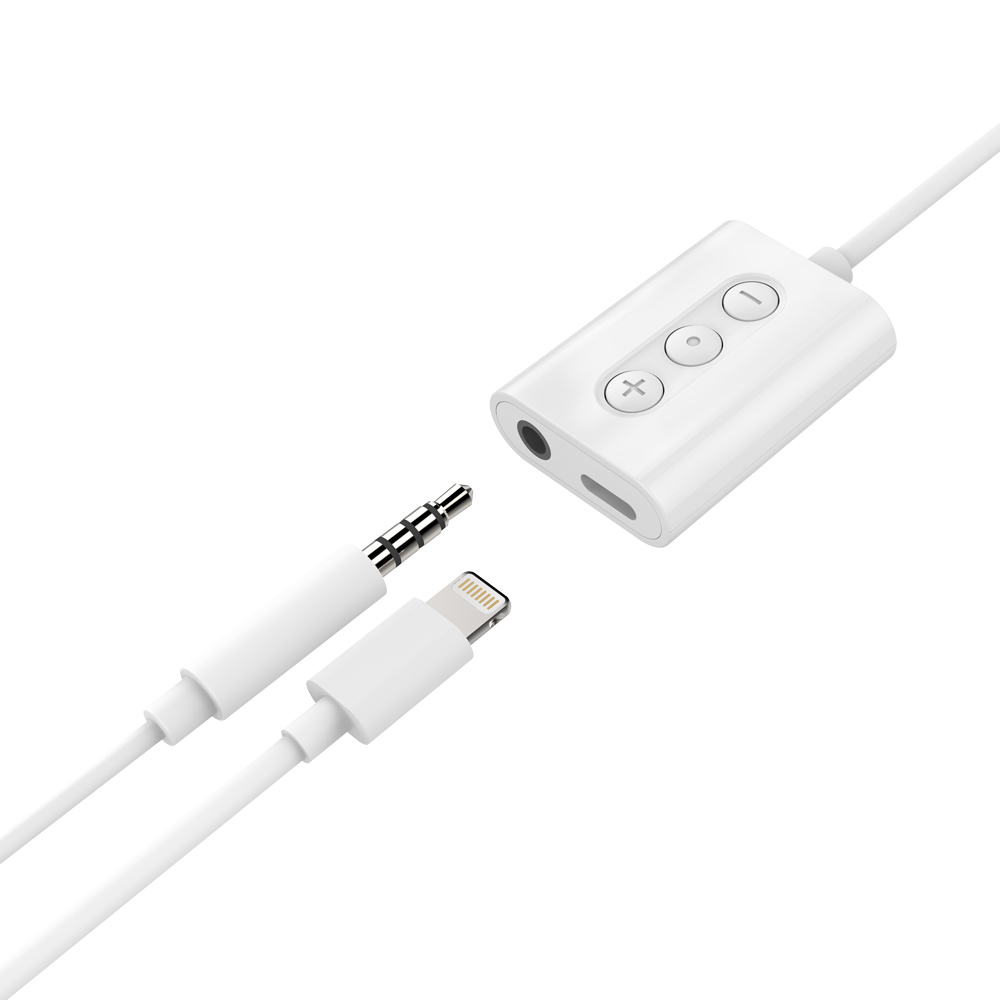 IPhone Hi-Fi Audio Cable Adapter With Lightning Female Connector - Shenzhen  Reflying Eletronic Co., Ltd