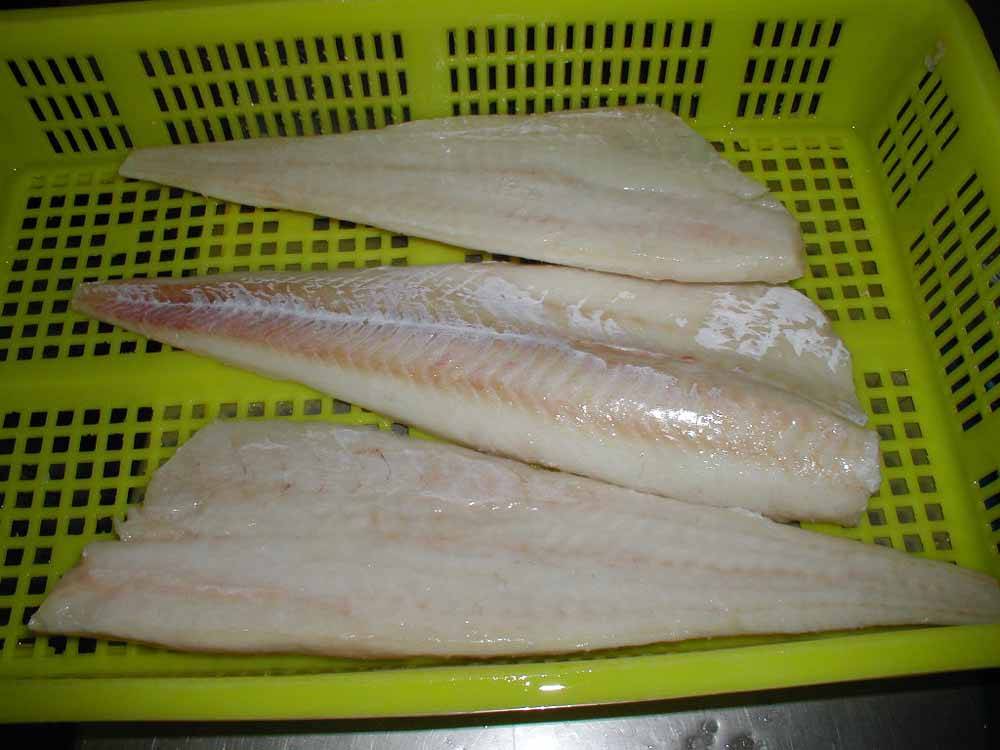 Pacific Cod Fillet - Dalian Changfeng Co. Ltd - ecplaza.net