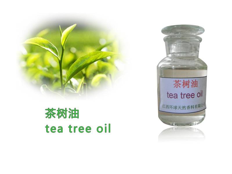 Tea tree extract