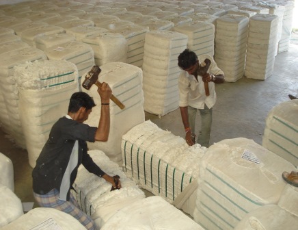 Indian Origin Of Raw Cotton DCH-32 - Bhadrakaali Fibres Private Limited