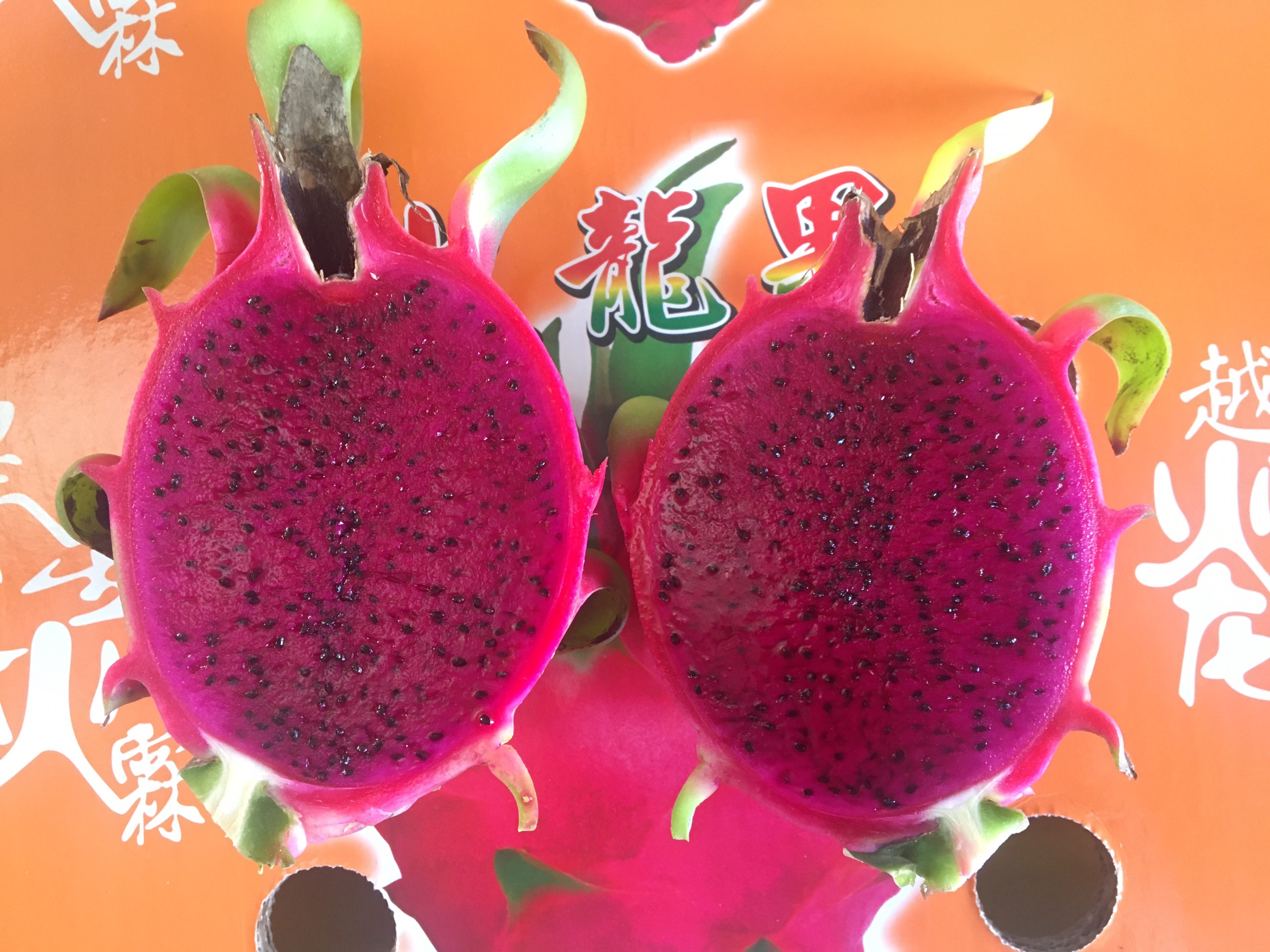 vietnamese-natural-red-and-white-dragon-fruits-viet-d-e-l-t-a