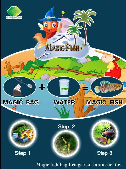 magic fish toy
