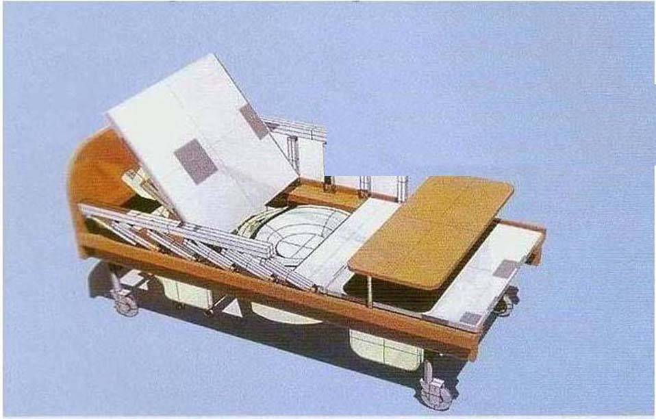 Toilet Imbedded Fully-automatic Hospital Bed - Kleizen, Ltd - ecplaza.net