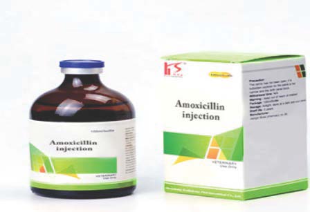 AMOXICILLIN TRIHYDRATE POWDER - Qingdao Healthchem Biotech Co.,Ltd