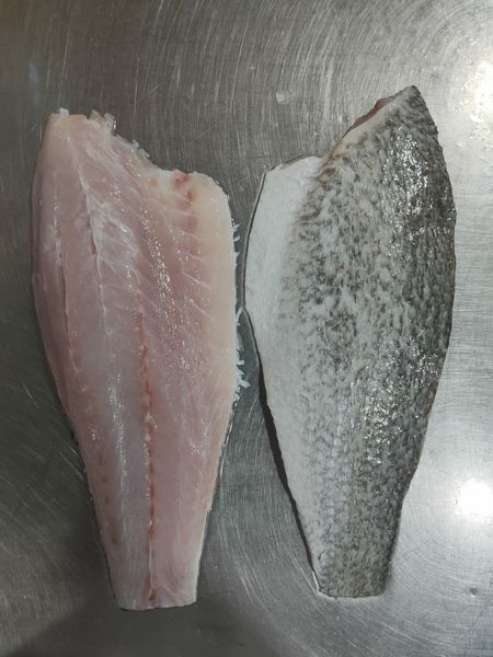 Barranmundi Fillet - PISCES IMPORT EXPORT COMPANY LIMITED - ecplaza.net