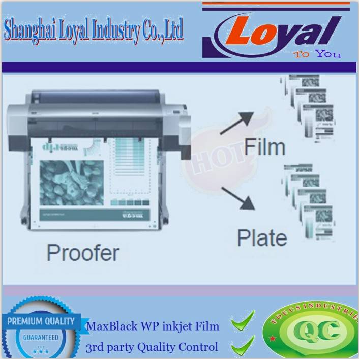 Matte Inkjet Film For Flexo Printing Shanghai Loyal Industry Coltd