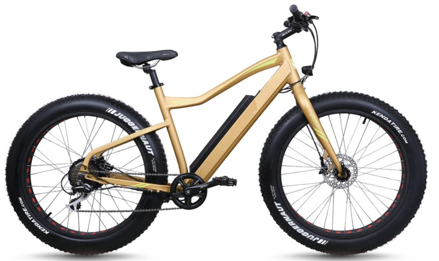 PETRIGO Electric Mountain Bike Bicycle Modern Design Fat Tyre Ebikes ... - 4401396