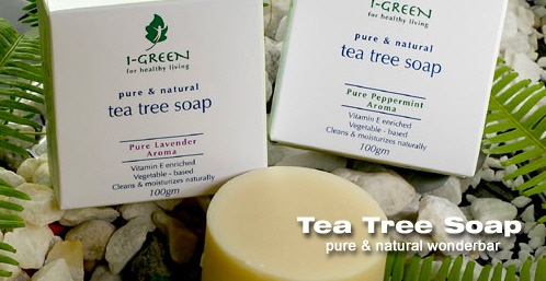 Pure & Natural Handmade Soap - SETEXI CORPORATION (M) SDN ...
