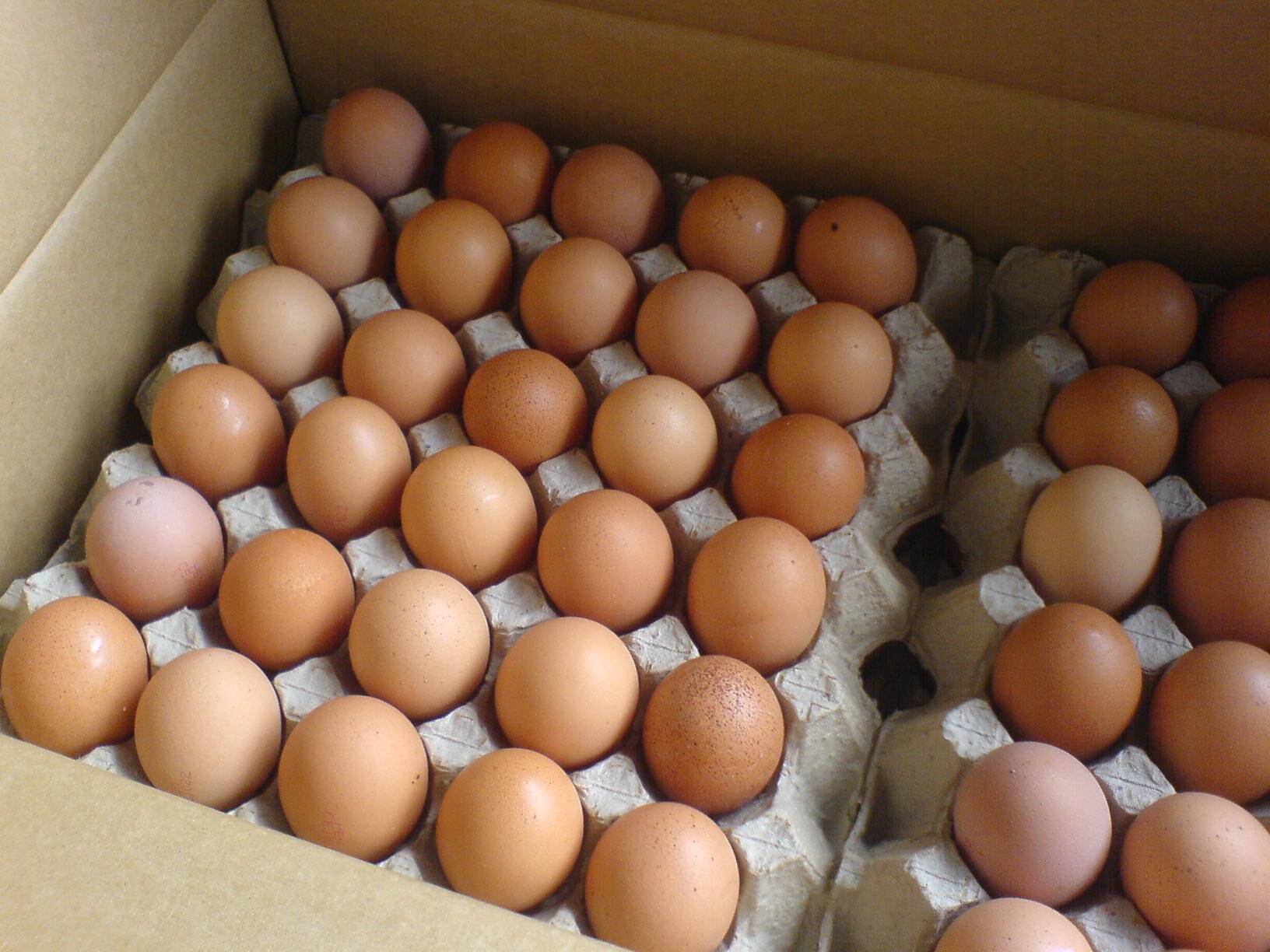 Купить яйца иваново. Инкубационное яйцо кур инкубация. Яі ЦО куриное 2 категории (ячейка 30 шт). Яйцо куриное 2 категории (ячейка 30 шт) Россия. Инков яйцо.