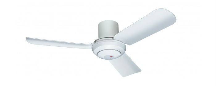 Bldc Ceiling Fan Eco Ceiling Fan Polylink Technology Limited