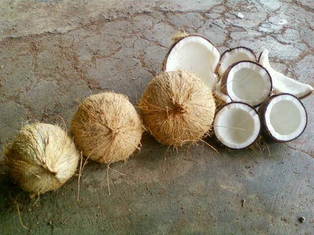 Coconut semi husk. 