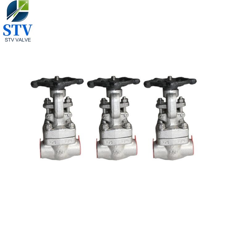 class-800-forged-stainless-steel-gate-valve-stv-valve-technology