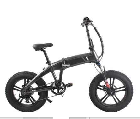 Electric Bicycle-B20 - Everlast Trading - ecplaza.net