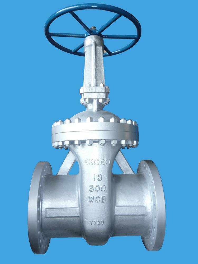 Cast Carbon Steel Body Gate Valve Shanghai Kobo Valve And Fitting Coltd 3295