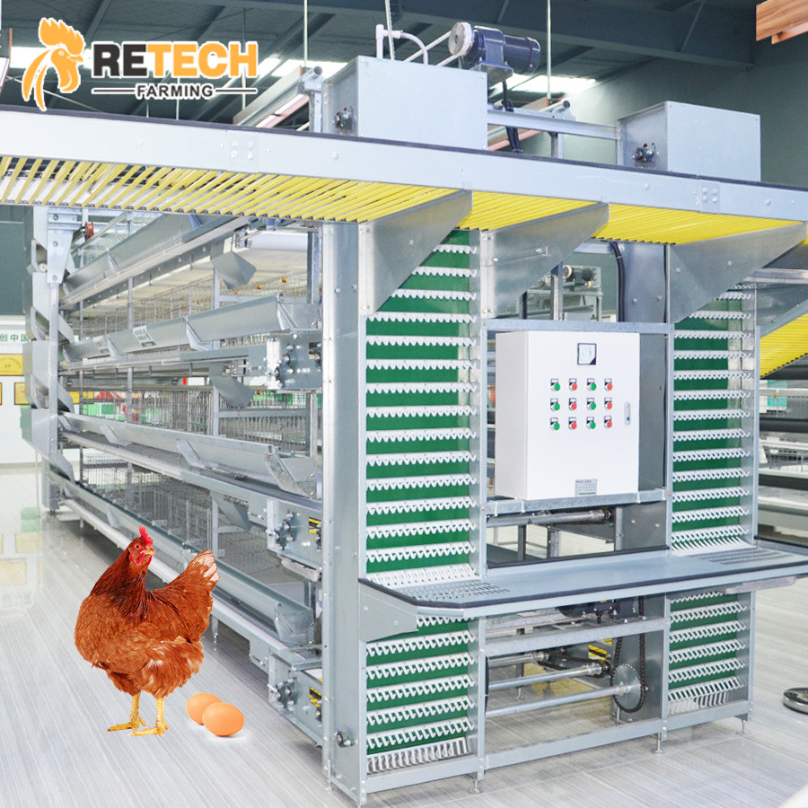 Retech Farming H Type Chicken Layer Cages With Automatic Feeding System