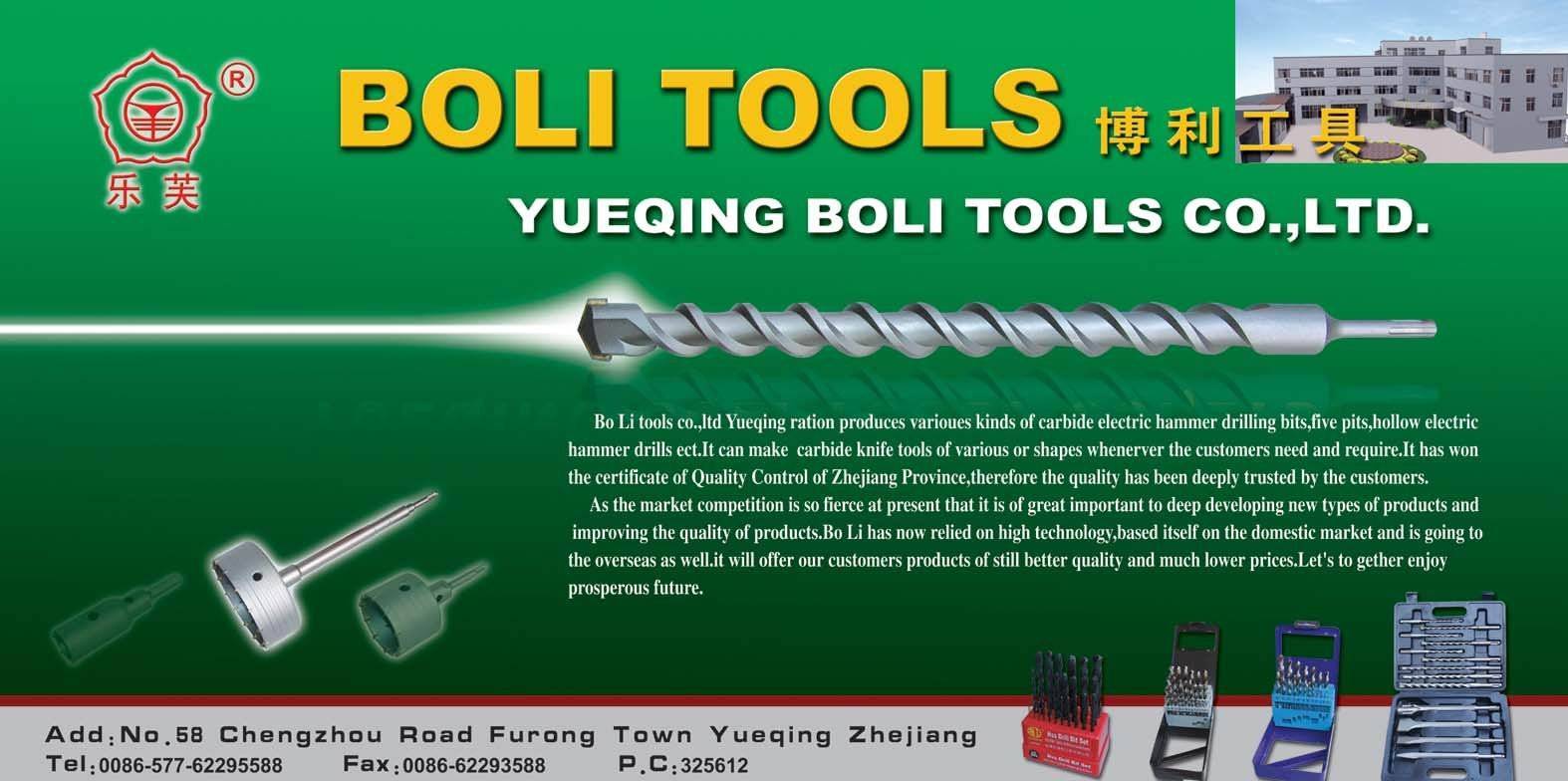 Drill Bit Set Twist Drill Bit Hammer Drill Bit Chisel Yueqing Boli