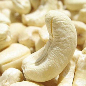 cashew international