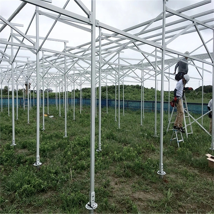 Solar Farm Ground Mounting System Pv Panels Mount Brackets Frame Structures Carlightsolar Technology Co Ltd Ecplaza Net